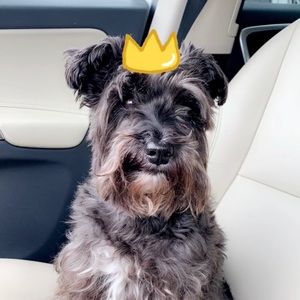 Meet your Posher, Ian